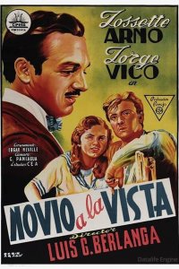 Novio a la vista cuevana3