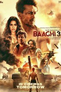 Baaghi 3 cuevana3