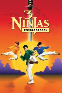 3 ninjas contraatacan cuevana3