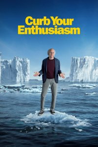 El show de Larry David cuevana3