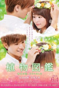 Evergreen Love cuevana3
