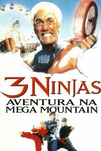 3 ninjas en el parque de atracciones cuevana3