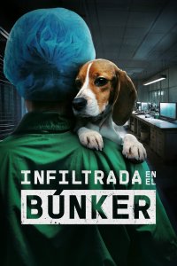 Infiltrada en el búnker cuevana3